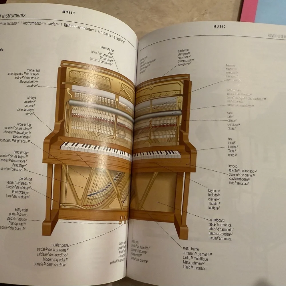 5-Language Visual Dictionary - Picture 2 of 5